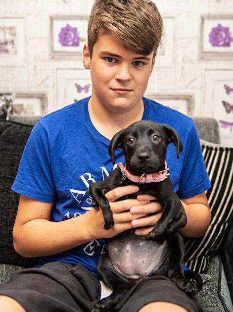 agrandeartedeserfeliz.com - Cachorrinha de 6 pernas é adotada por garoto que sofria bullying: ‘Apoiamos um ao outro’
