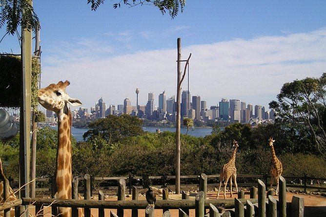 Conheça os maiores e mais famosos zoológicos do mundo