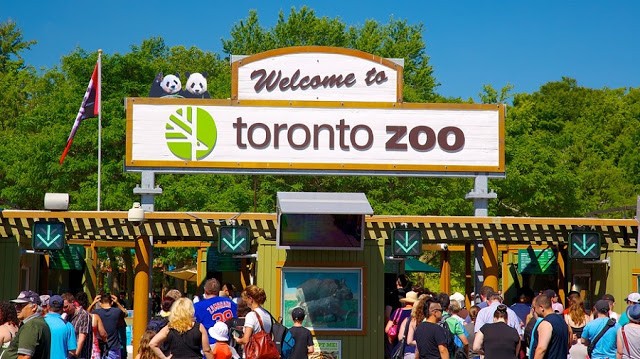 Conheça os maiores e mais famosos zoológicos do mundo